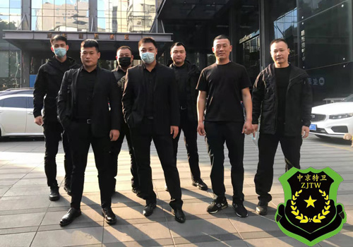 Special Bodyguard(图1)