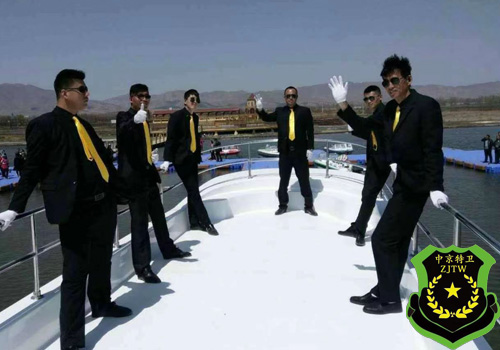 Dispute Bodyguard(图1)