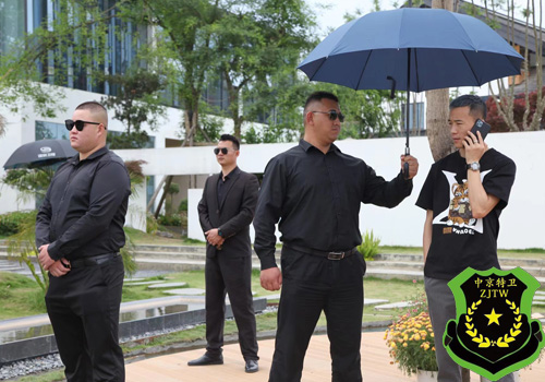 General Security Services(图1)